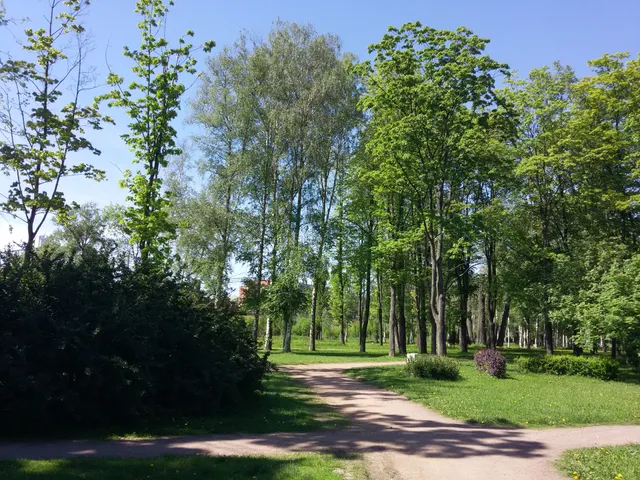 Sad Aleksandra Matrosova