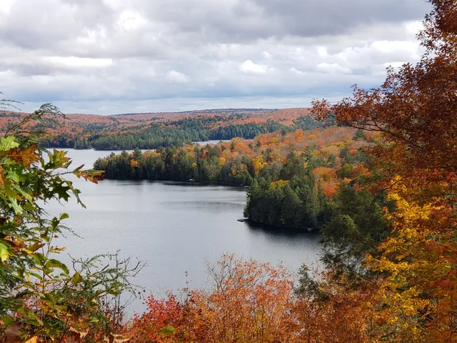 Hardwood Lookout Trail