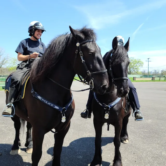 Columbus Police - Mounted Horse Unit