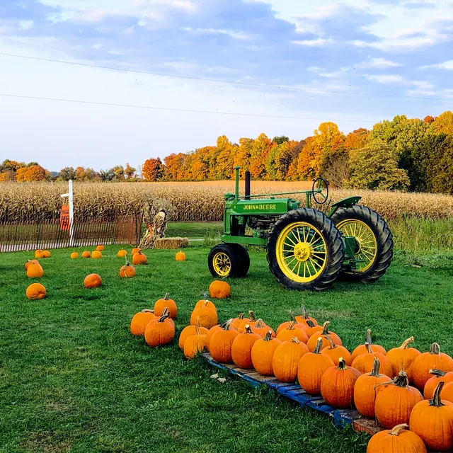Spragues Pumpkin Patch