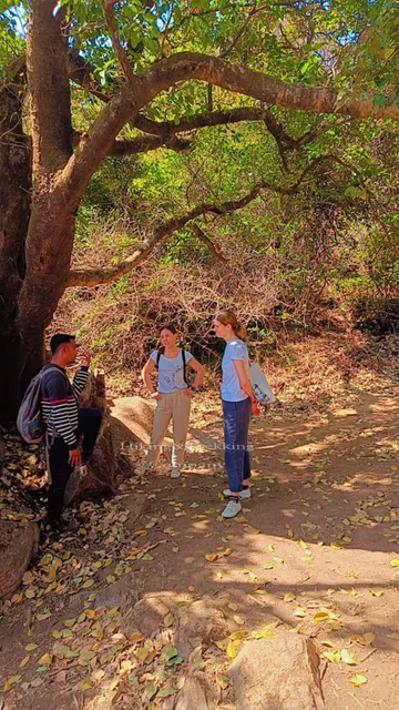 Hiking & Trekking Company Mount Abu