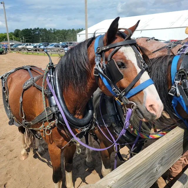 Kanabec County Fair