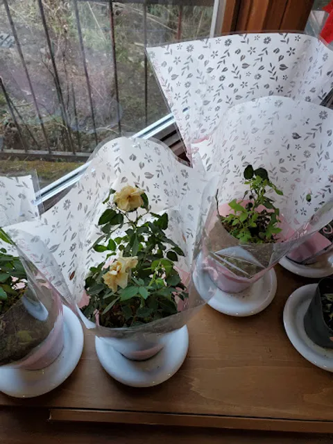 cafe 菜・美ら心