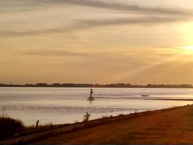 Ferienwohnungen im Holzhaus in Kollmar - Familie Braun