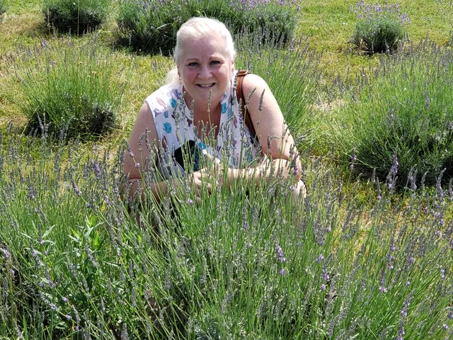 The Lavender Patch Farm