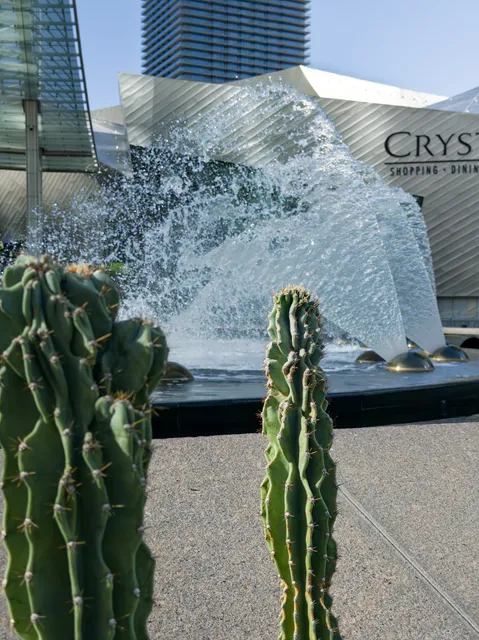 Aria Water Feature