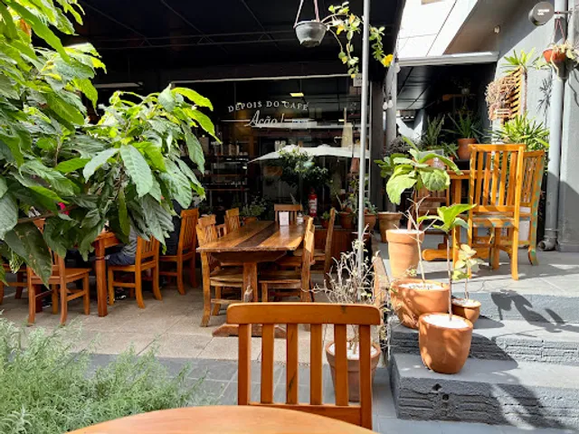 The Kingdom Jardim SP