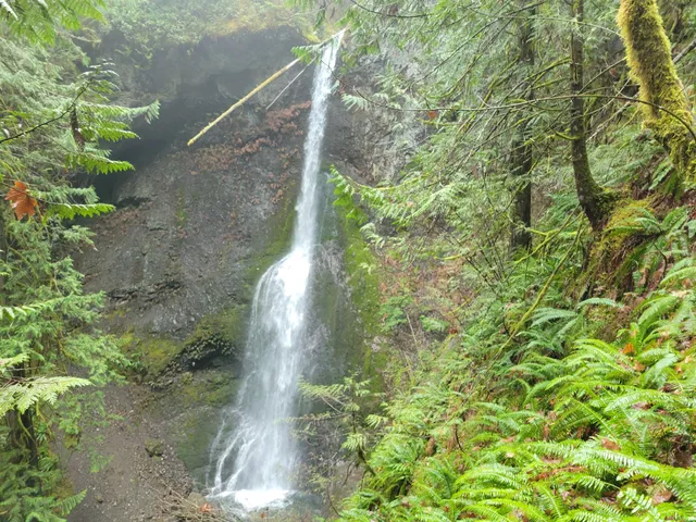 Marymere Falls