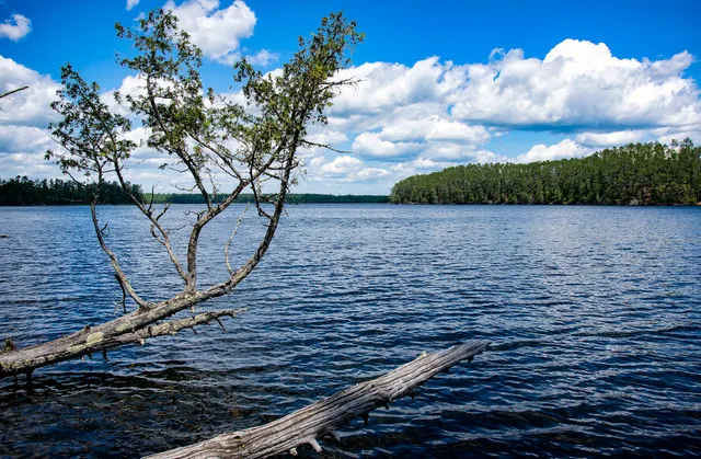 Chase Point Campground