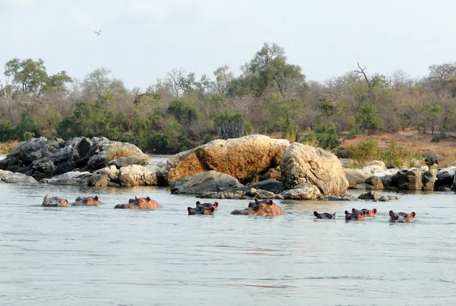 Great Ruaha River