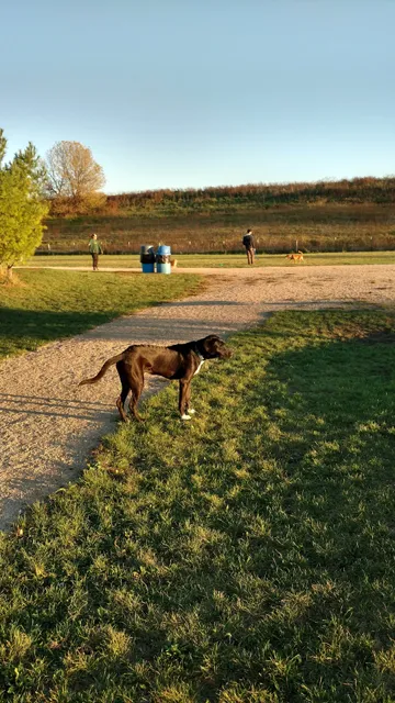 Badger Prairie Dog Park