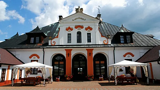 Czyżów szlachecki Palace Hotel
