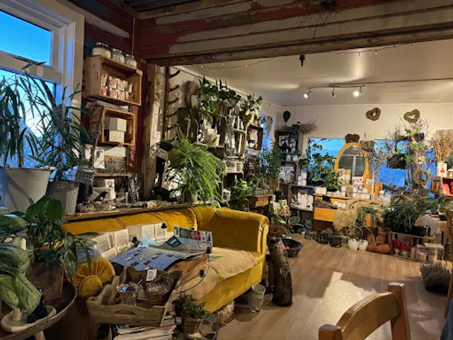 Blómalindin Kaffihornid