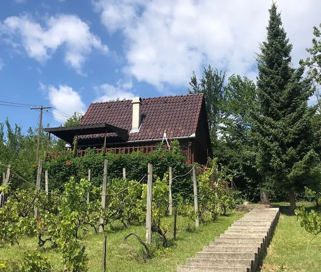 Fenyveshegyi Házikó