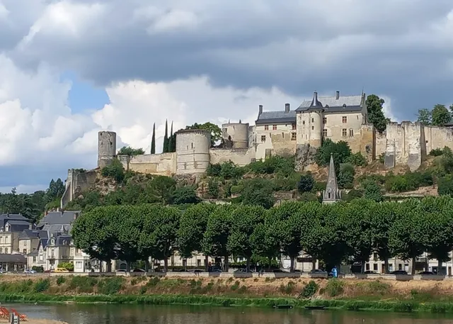 Vue sur le château de Chinon