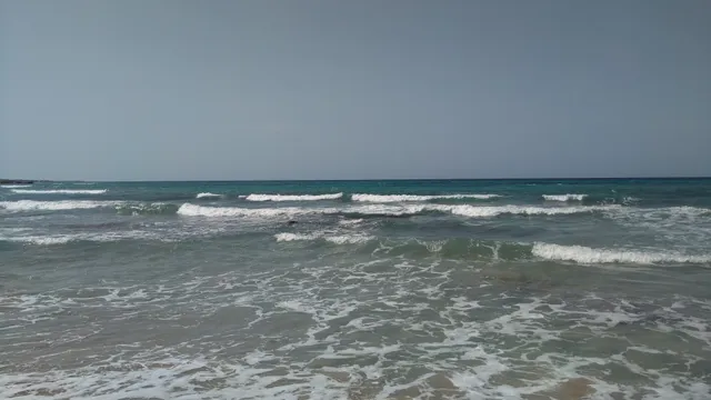 North Entrance Parking Area Reserve Torre Guaceto