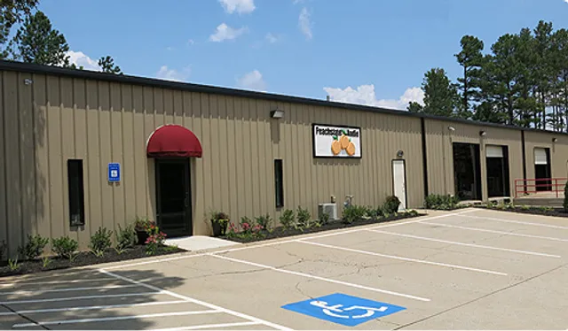 Peachstate Audio & Lighting