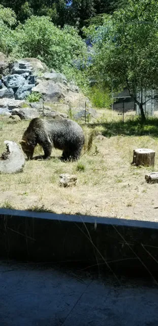 Hearst Grizzly Gulch