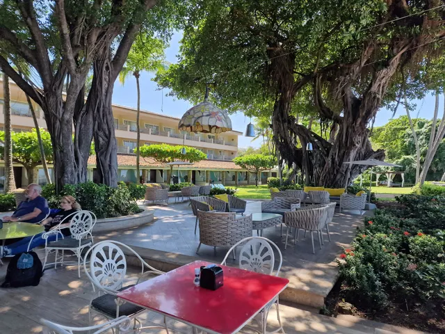 Matapalo Beachfront Restaurant