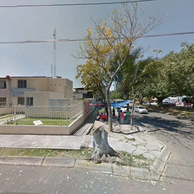 Tacos de Barbacoa Pepe Luis