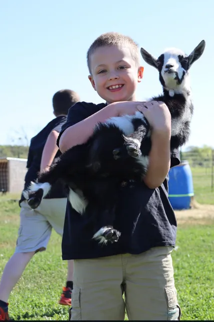 Walkers Crazy Lil Farm LLC