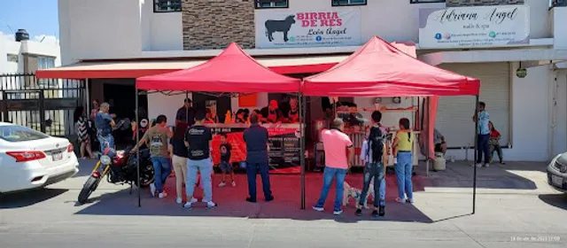 Birria De Res Leon Angel