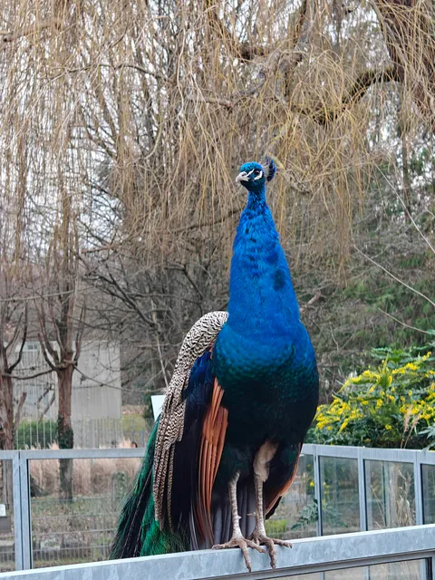 Tier-Natur -Erlebnispark Mundenhof