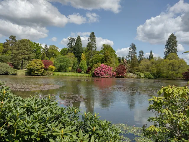 National Trust - Sheffield Park & Garden