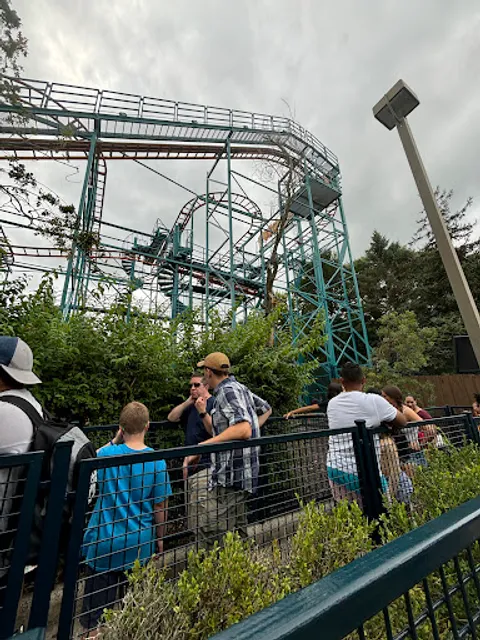 Wild Mouse