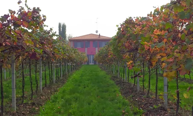 Agriturismo Fondo Gesù