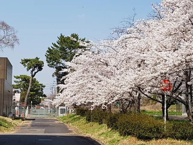 Uji International House, Kyoto University
