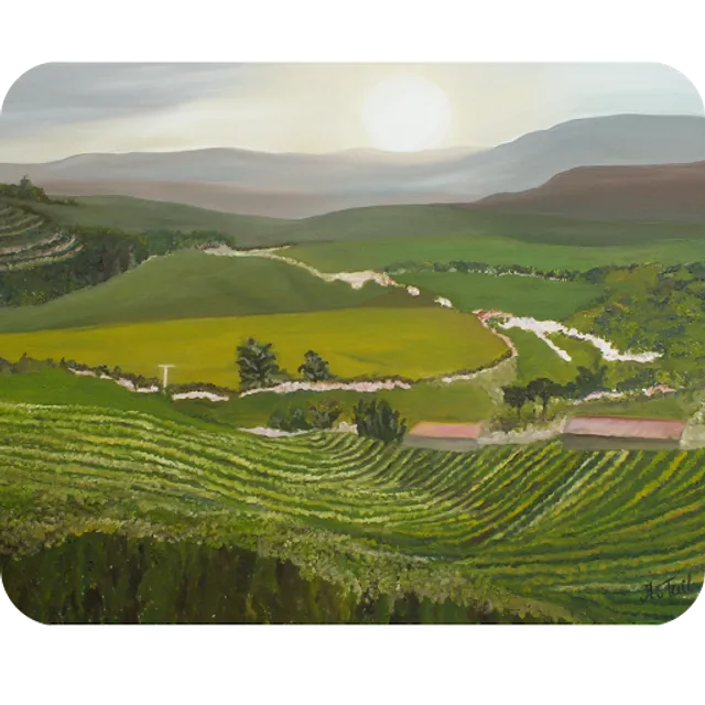 Drankenstudie Michel van Tuil🍷