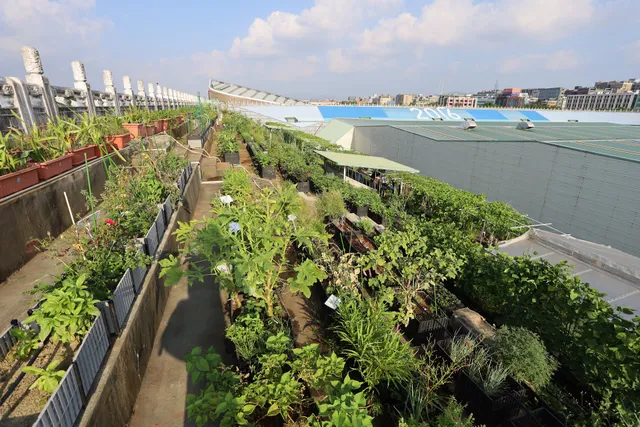 花博綠屋頂智慧農場 EXPO Green Roof Farm