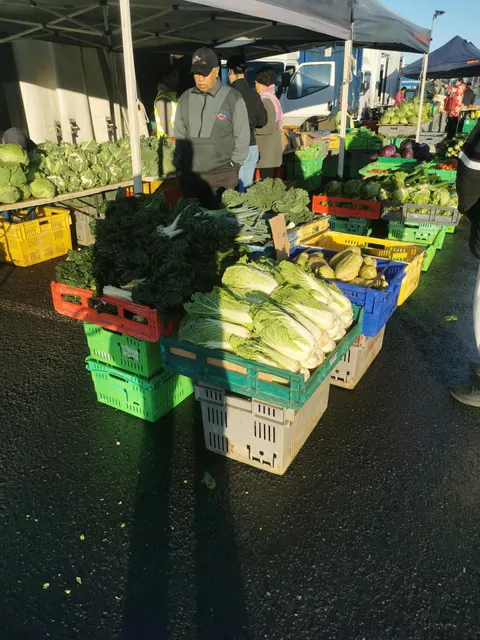 Auckland Markets
