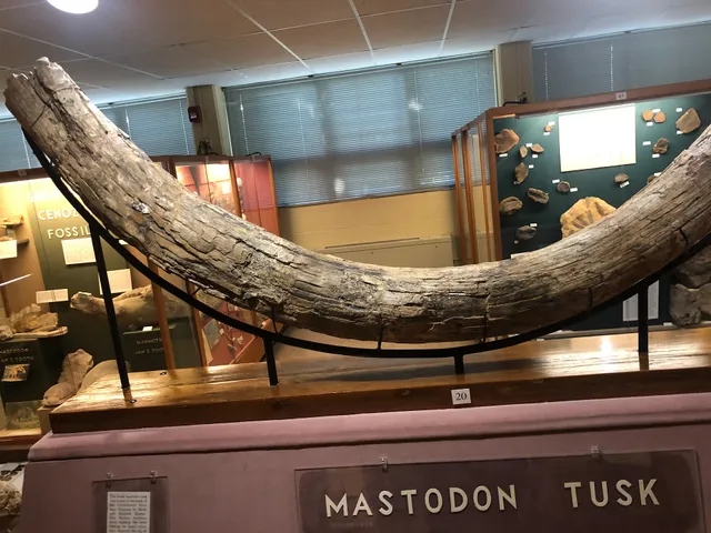 Schmidt Museum-Natural History
