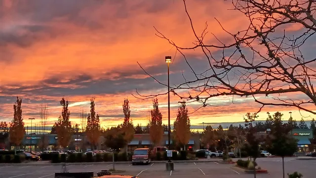 Maple Valley Town Square