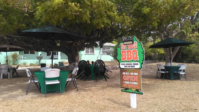 Big Tree BBQ