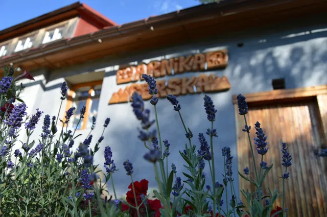 Mountain Arnica - Guest Rooms