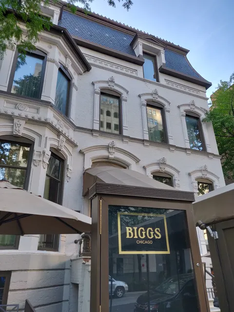 Biggs Mansion Chicago