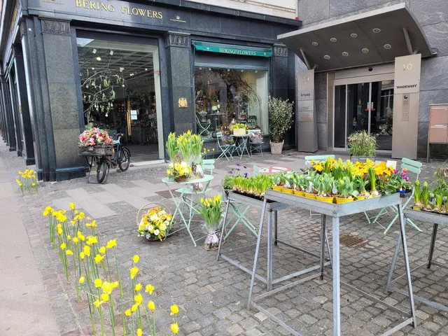 Bering House of Flowers