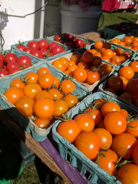 New Milford Farmers Market