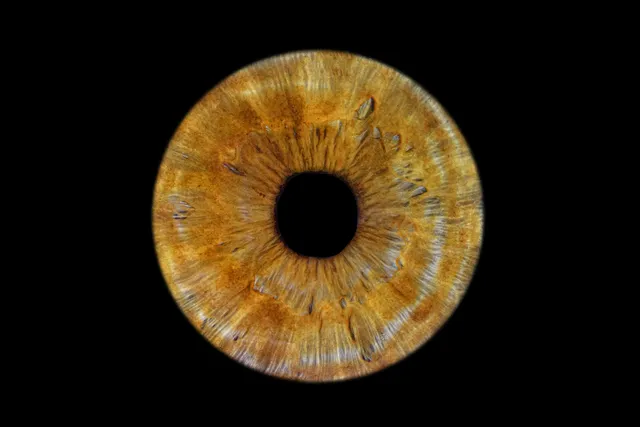 COSMIC EYE Iris Photo