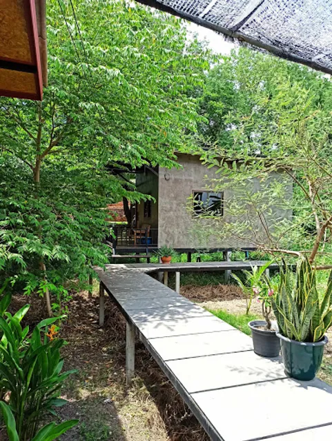 Cafe Baan Khon Suan & Rooms (บ้าน ฅน สวน คาเฟ่)