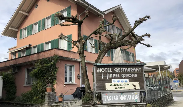 Hotel Hippel Krone