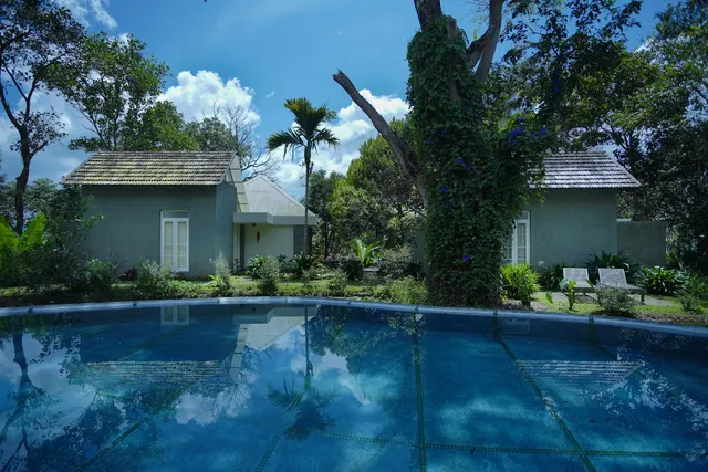 SpiceTree Rajakumari