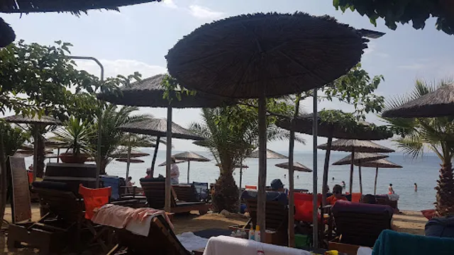 Road House Beach Bar