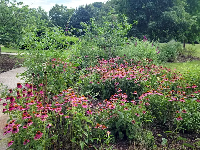 Schaub Floral Display Center