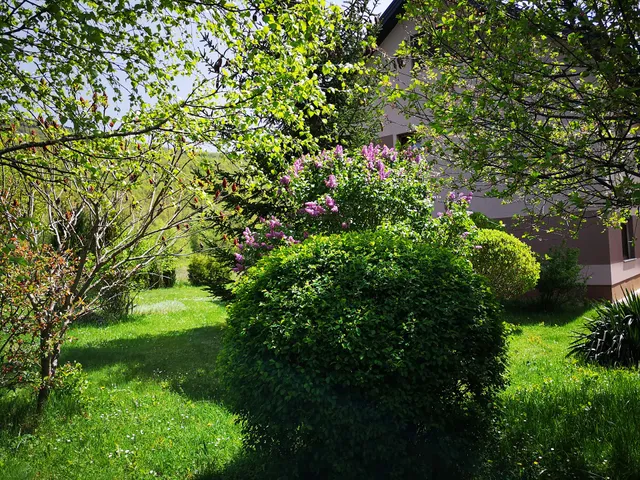 Apartment Nature Escape