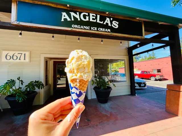 Angela's Organic Ice Cream