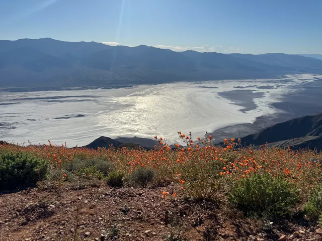 Dante’s View Peak Lookout